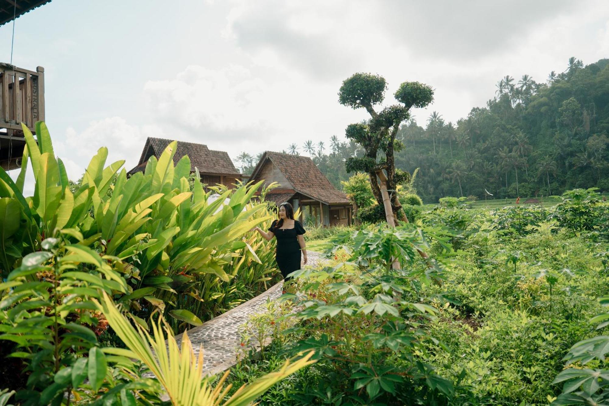 Kubu Sakian Sidemen By Samhita Bali Lodge