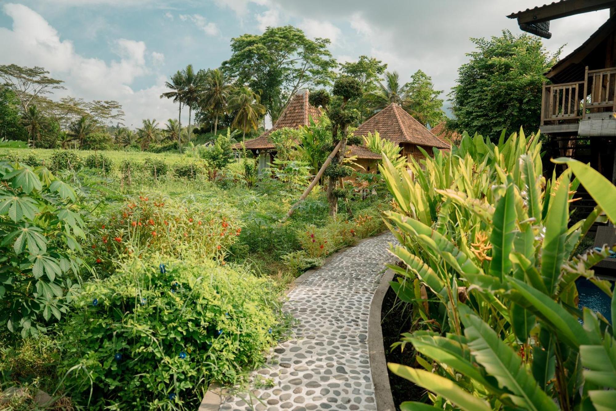 Lodge Kubu Sakian Sidemen By Samhita Bali