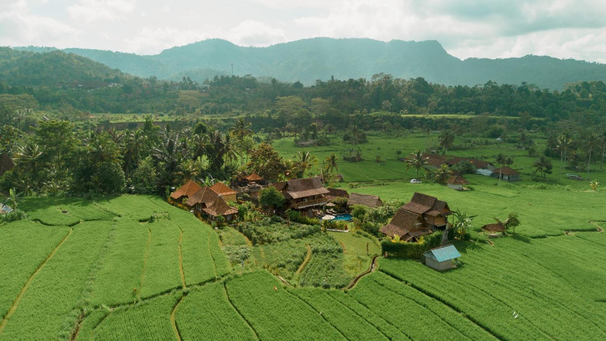 Lodge Kubu Sakian Sidemen By Samhita Bali *