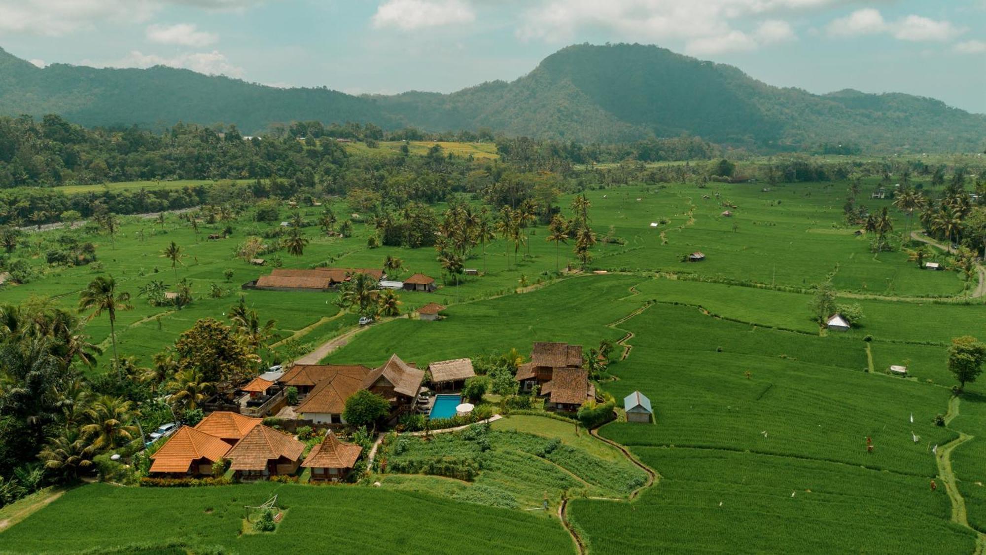 Kubu Sakian Sidemen By Samhita Bali *